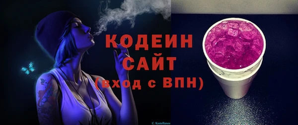 хмурый Абаза