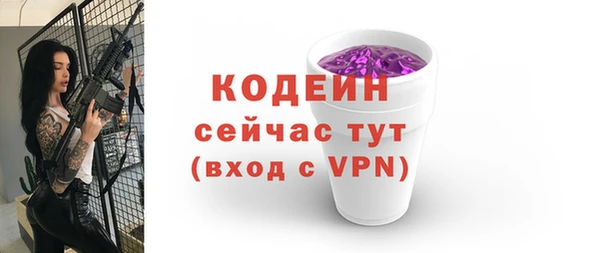 хмурый Абаза