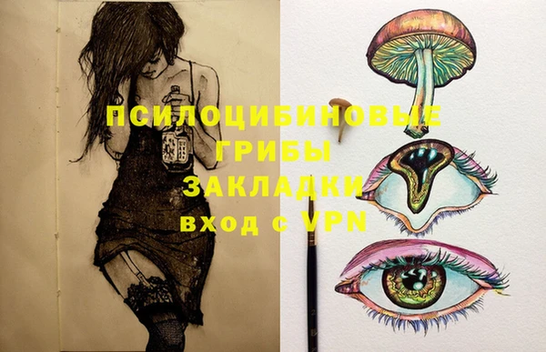 хмурый Абаза