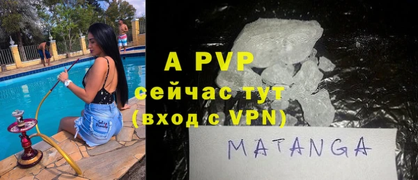хмурый Абаза