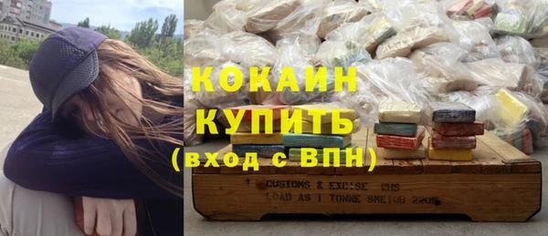 хмурый Абаза