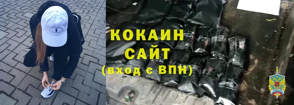 хмурый Абаза